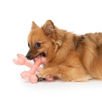 Charger l'image dans la galerie, Os croisés Duo Zeus, parfum de poulet, corail, 15 cm (6 po)
