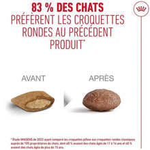 Charger l'image dans la galerie, Nourriture Royal Canin sèche pour chat âgé 11+ – 6 lb
