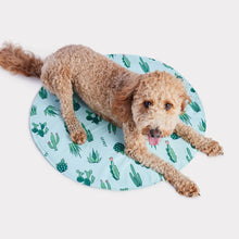 Charger l'image dans la galerie, ICE MAT™ - Tapis de refroidissement - Cactus aqua
