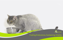 Charger l'image dans la galerie, harlow blend nourriture pour chat
