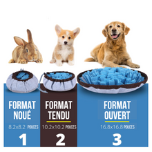 Charger l'image dans la galerie, Tapis de fouille réglable pour chiens, jouets puzzle pour chien, tapis d'enrichissement pour animaux de compagnie
