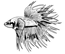 Charger l'image dans la galerie, Tasse en céramique-Thème animaux-Betta Crown Tail
