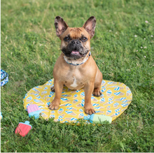 Charger l'image dans la galerie, ICE MAT™ - Tapis de refroidissement - Cornets jaune
