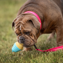 Charger l'image dans la galerie, ICE TOY™ - Jouet rafraîchissant pour chien avec cône de glace | Cornet Coton Candy
