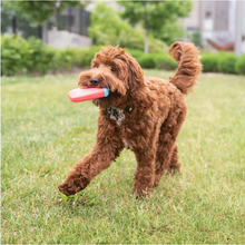 Charger l'image dans la galerie, ICE TOY™ - Jouet rafraîchissant pour chien avec cône de glace | Popsicle Banane
