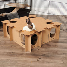 Charger l'image dans la galerie, Oxbow Enriched Life - Jeu D'excercise Pour Rongeur, Labyrinthe Personnalisable
