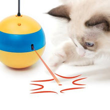 Charger l'image dans la galerie, Abeille culbuto Catit Play 2.0 - Boutique Le Jardin Des Animaux -Jouet chatBoutique Le Jardin Des Animaux43165
