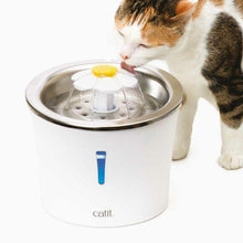 Charger l'image dans la galerie, Abreuvoir avec fleur et dessus en acier inoxydable Catit - Boutique Le Jardin Des Animaux -AbreuvoirBoutique Le Jardin Des Animaux43725
