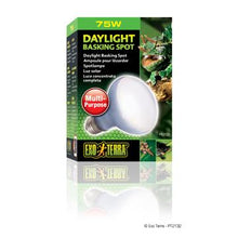 Charger l'image dans la galerie, Ampoule à lumière du jour Exo Terra pour lézarder, R20, 75 W - Boutique Le Jardin Des Animaux -Eclairage reptileBoutique Le Jardin Des AnimauxPT2132

