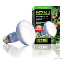 Charger l'image dans la galerie, Ampoule à lumière du jour Exo Terra pour lézarder, R25, 100 W - Boutique Le Jardin Des Animaux -Eclairage reptileBoutique Le Jardin Des AnimauxPT2133
