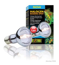 Charger l'image dans la galerie, Ampoule halogène Sun Glo Exo Terra à lumière du jour et au néodyme, 50 W - Boutique Le Jardin Des Animaux -Eclairage reptileBoutique Le Jardin Des AnimauxPt2181
