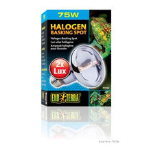 Charger l'image dans la galerie, Ampoule halogène Sun Glo Exo Terra à lumière du jour et au néodyme, 75 W - Boutique Le Jardin Des Animaux -Eclairage reptileBoutique Le Jardin Des AnimauxPT2182
