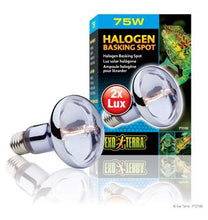 Charger l'image dans la galerie, Ampoule halogène Sun Glo Exo Terra à lumière du jour et au néodyme, 75 W - Boutique Le Jardin Des Animaux -Eclairage reptileBoutique Le Jardin Des AnimauxPT2182
