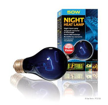 Charger l'image dans la galerie, Ampoule incandescente clair de lune Night Glo Exo Terra, A19/50 W - Boutique Le Jardin Des Animaux -Eclairage reptileBoutique Le Jardin Des AnimauxPT2126
