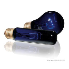Charger l'image dans la galerie, Ampoule incandescente clair de lune Night Glo Exo Terra, T10/25 W - Boutique Le Jardin Des Animaux -Eclairage reptileBoutique Le Jardin Des AnimauxPt2122
