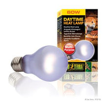 Charger l'image dans la galerie, Ampoule incandescente Sun Glo Exo Terra à lumière du jour, A19/60 W - Boutique Le Jardin Des Animaux -Eclairage reptileBoutique Le Jardin Des AnimauxPT2110
