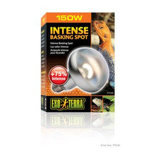 Charger l'image dans la galerie, Ampoule Intense Exo Terra pour lézarder, S30, 150 W - Boutique Le Jardin Des Animaux -Eclairage reptileBoutique Le Jardin Des AnimauxPT2140
