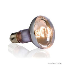 Charger l'image dans la galerie, Ampoule pour lézarder en milieu marécageux Exo Terra, 75 W - Boutique Le Jardin Des Animaux -Eclairage reptileBoutique Le Jardin Des AnimauxPT3781
