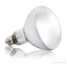 Charger l'image dans la galerie, Ampoule Solar Glo Exo Terra simulant la lumière du soleil, 80 W - Boutique Le Jardin Des Animaux -Eclairage reptileBoutique Le Jardin Des AnimauxPT2334
