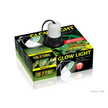 Charger l'image dans la galerie, Appareil d’éclairage Exo Terra Glow Light Dome - Boutique Le Jardin Des Animaux -Eclairage reptileBoutique Le Jardin Des Animauxpt2052
