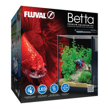 Charger l'image dans la galerie, Aquarium équipé Betta haut de gamme, 10 L (2,6 gal US) - Boutique Le Jardin Des Animaux -AquariumBoutique Le Jardin Des Animaux10498
