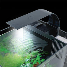 Charger l'image dans la galerie, Aquarium équipé Betta haut de gamme, 10 L (2,6 gal US) - Boutique Le Jardin Des Animaux -AquariumBoutique Le Jardin Des Animaux10498
