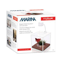 Charger l'image dans la galerie, Aquarium équipé Cubus Marina pour betta, 3,4 L (0,9 gal US) - Boutique Le Jardin Des Animaux -AquariumBoutique Le Jardin Des Animaux13485

