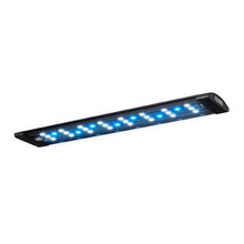 Charger l'image dans la galerie, Aquarium équipé EVO Fluval Sea, 52 L (13,5 gal US) - Boutique Le Jardin Des Animaux -AquariumBoutique Le Jardin Des Animaux10531
