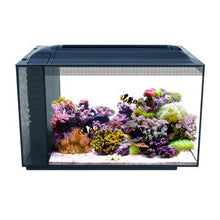Charger l'image dans la galerie, Aquarium équipé EVO Fluval Sea, 52 L (13,5 gal US) - Boutique Le Jardin Des Animaux -AquariumBoutique Le Jardin Des Animaux10531
