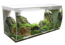 Charger l'image dans la galerie, Aquarium équipé FLEX Fluval, blanc, 123 L (32,5 gal US) - Boutique Le Jardin Des Animaux -AquariumBoutique Le Jardin Des Animaux14996
