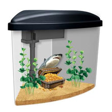 Charger l'image dans la galerie, Aquarium équipé Pirates Marina, 3,7 L (1 gal US) - Boutique Le Jardin Des Animaux -AquariumBoutique Le Jardin Des Animaux13310
