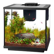 Charger l'image dans la galerie, Aquarium pour crevette avec DEL, AQUEON 7,5 gal. - Boutique Le Jardin Des Animaux -AquariumBoutique Le Jardin Des Animaux73912
