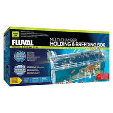 Charger l'image dans la galerie, Bac à compartiments multiples pour l’isolement et la reproduction Fluval, L. 26 x l. 14 x H.12 cm (10,25 x 5,5 x 4,75 po) - Boutique Le Jardin Des Animaux -accessoires aquariophilieBoutique Le Jardin Des Animaux10943
