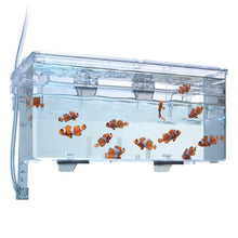 Charger l'image dans la galerie, Bac à compartiments multiples pour l’isolement et la reproduction Fluval, L. 26 x l. 14 x H.12 cm (10,25 x 5,5 x 4,75 po) - Boutique Le Jardin Des Animaux -accessoires aquariophilieBoutique Le Jardin Des Animaux10943
