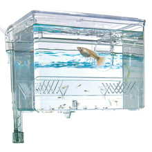 Charger l'image dans la galerie, Bac à suspendre pour la reproduction Marina, L. 16,5 x l. 12,5 x H. 12 cm (6,5 x 5 x 4,75 po) - Boutique Le Jardin Des Animaux -accessoires aquariophilieBoutique Le Jardin Des Animaux10942
