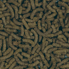 Charger l'image dans la galerie, Bug Bites bâtonnets pour poisson de fond et plécos, moyens/grands - Boutique Le Jardin Des Animaux -Nourriture PoissonBoutique Le Jardin Des Animauxa6363
