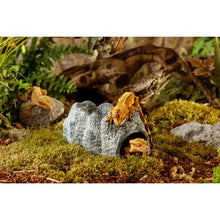 Charger l'image dans la galerie, Cachettes Wet Cave Exo Terra, grotte céramique hygroscopique, grand - Boutique Le Jardin Des Animaux -DécorationBoutique Le Jardin Des AnimauxPT3173
