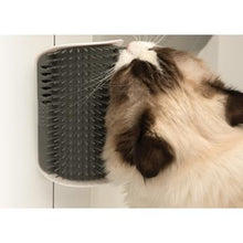 Charger l'image dans la galerie, Catit 2.0 Senses Bosse autotoiletteur - Boutique Le Jardin Des Animaux -ToilettageBoutique Le Jardin Des Animaux43152W
