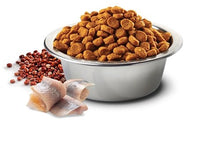 Charger l'image dans la galerie, FARMINA SANS GRAINS QUINOA ET HARANG, PEAU &amp; POILS, POUR CHAT ADULTE - Boutique Le Jardin Des Animaux -Nourriture chatBoutique Le Jardin Des AnimauxFA03581
