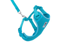 Charger l'image dans la galerie, Harnais pour chat Bleu - ADVENTURE KITTY HARNESS - RC Pets - Boutique Le Jardin Des Animaux -CollierBoutique Le Jardin Des Animaux
