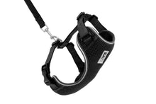 Charger l'image dans la galerie, Harnais pour chat Noir - ADVENTURE KITTY HARNESS - RC Pets - Boutique Le Jardin Des Animaux -CollierBoutique Le Jardin Des Animaux538 - 001 Black
