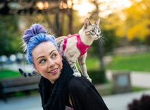 Charger l'image dans la galerie, Harnais pour chat Splatter - ADVENTURE KITTY HARNESS - RC Pets - Boutique Le Jardin Des Animaux -CollierBoutique Le Jardin Des Animaux538 - 115 Splatter
