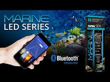 Charger et lire la vidéo dans la visionneuse de la Galerie, Appareil d'éclairage à DEL Marine 3.0 Fluval avec fonctionnalité Bluetooth pour aquarium Flex d'eau de mer - 123 L /32,5 gal US
