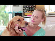 Charger et lire la vidéo dans la visionneuse de la Galerie, Dog H2O- Fontaine abreuvoir pour chien 6 litres verte
