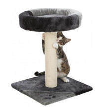 Charger l'image dans la galerie, Junior Arbre à chat Tarifa - Trixie - Boutique Le Jardin Des Animaux -Griffoir, meuble et litBoutique Le Jardin Des AnimauxTRE43712
