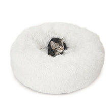 Charger l'image dans la galerie, Lit moelleux Catit, blanc, diam. 60 cm (20 po) - Boutique Le Jardin Des Animaux -Griffoir, meuble et litBoutique Le Jardin Des Animaux41881
