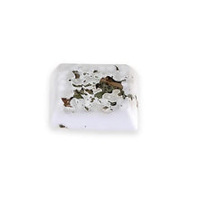Charger l'image dans la galerie, Living World bloc minéraux arôme de pissenlit 40g pour petits animaux - Boutique Le Jardin Des Animaux -Gâterie petit mammifèreBoutique Le Jardin Des Animaux60497
