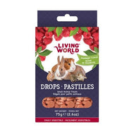 Living World régals pastilles arôme de framboise pour petits mammifères - Boutique Le Jardin Des Animaux -Gâterie petit mammifèreBoutique Le Jardin Des Animaux60475