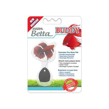 Charger l'image dans la galerie, Marina Entraîneur buddy pour betta - Boutique Le Jardin Des Animaux -DécorationBoutique Le Jardin Des Animaux12208
