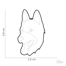 Charger l'image dans la galerie, Médaille pour chien collection Friends, BERGER ALLEMAND, Couleurs variées - Boutique Le Jardin Des Animaux -médailleBoutique Le Jardin Des AnimauxMF14BLACK
